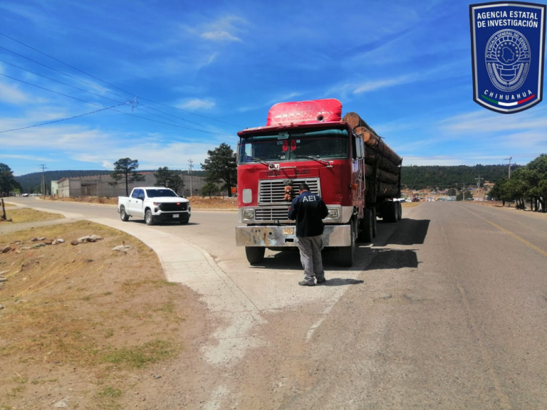 Realizan en zona sur operativo para inhibir tala clandestina