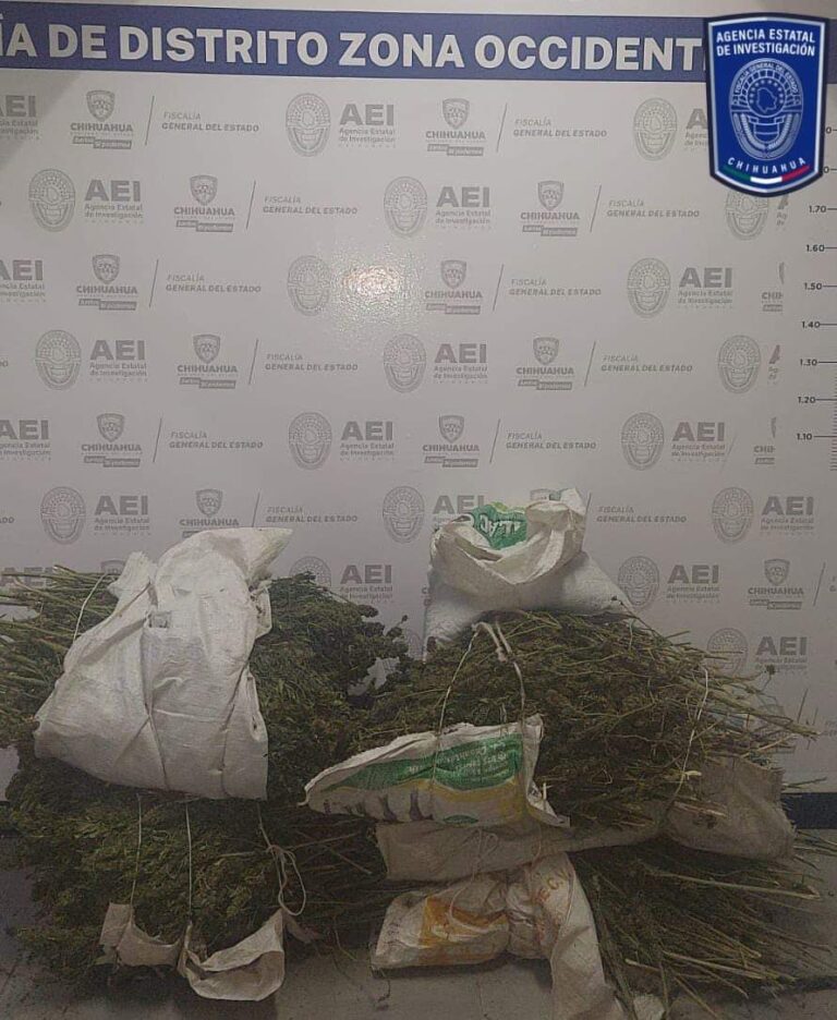 AGENTES DE INVESTIGACIÓN Y DE LA SECRETARÍA DE DEFENSA NACIONAL DETUVIERON EN NONOAVA A DOS HOMBRES POR POSESIÓN DE MARIHUANA.
