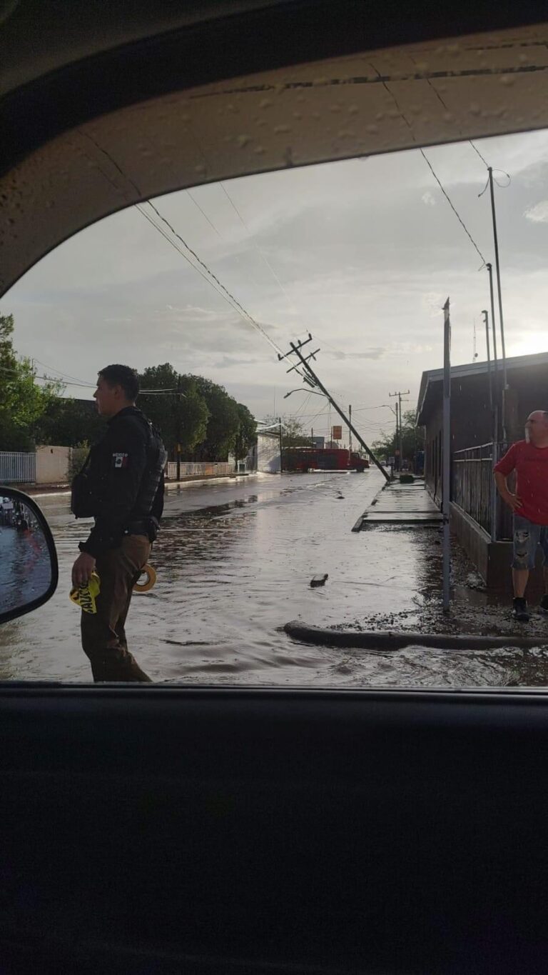 Protección Civil dio a conocer incidencias ocasionadas por fuertes precipitaciones en Ascensión y Madera.