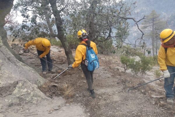 Combaten 165 brigadistas 11 incendios forestales activos en la entidad