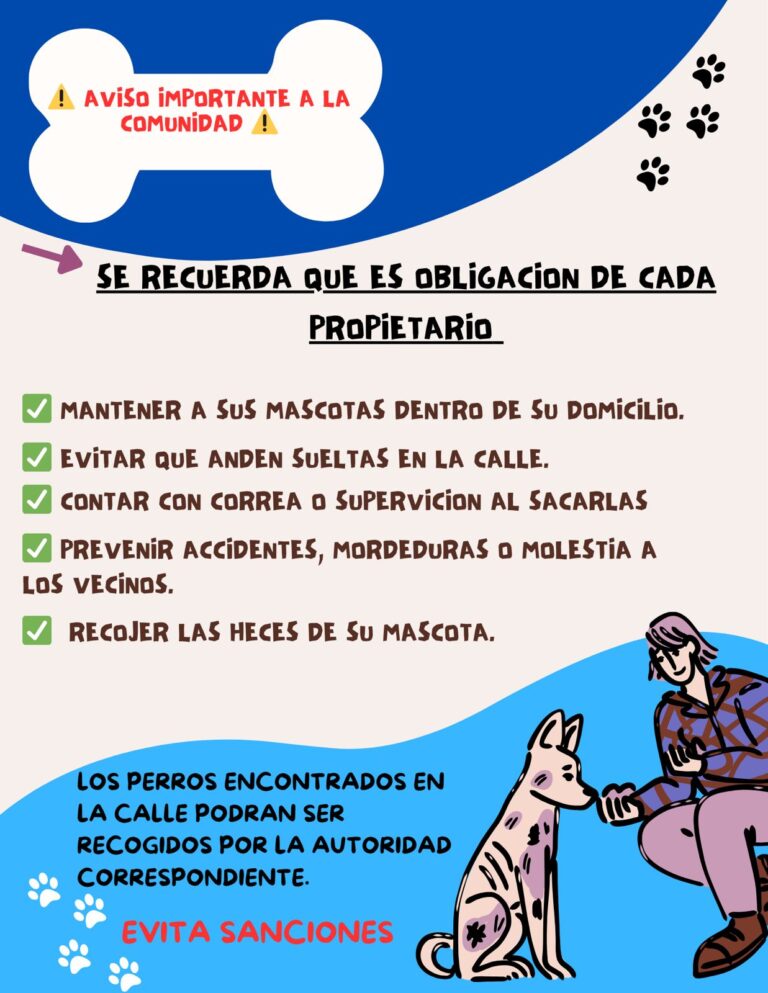 Dirección de Seguridad Pública y Vialidad MunicipalRefuerzan acciones de limpieza y prevención en el fraccionamiento BasaseachiComité del Vecino Vigilante
