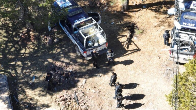 Destruye SSPE campamentos improvisados en zona serrana de Guachochi
